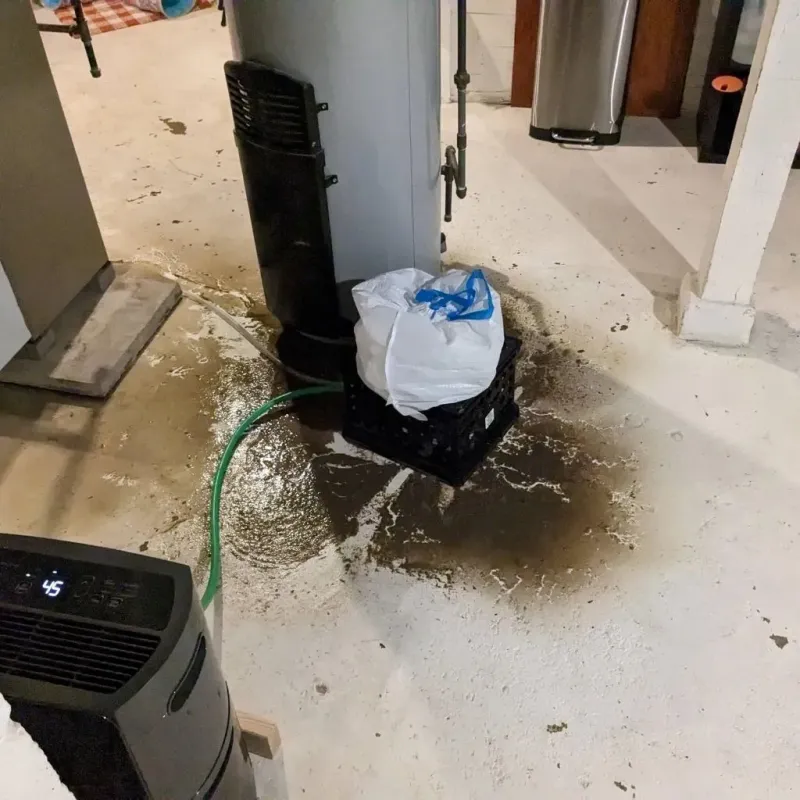 Sewage Backup Cleanup Service in Midland, PA